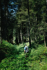 Hiker With A Backpack Standing In A Forest
