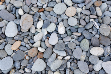 静岡県沼津市千本花海岸の玉石