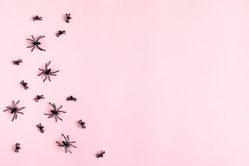 Halloween decorations concept. Halloween with spiders on pastel pink background. Flat lay, top view, copy space