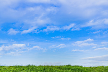 Fototapeta premium 夏の青空