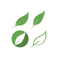 Leaf graphic design template vector isolated illustration