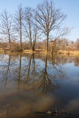 Fototapeta na wymiar Slanaky oxbow lake in early spring CHKO Poodri in Czech republic
