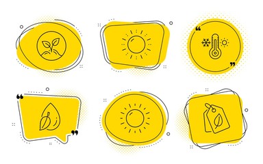 Startup, Sunny weather and Bio tags signs. Chat bubbles. Sun energy, Thermometer and Water drop line icons set. Solar power, Thermostat, Mint leaf. Launch project. Nature set. Vector