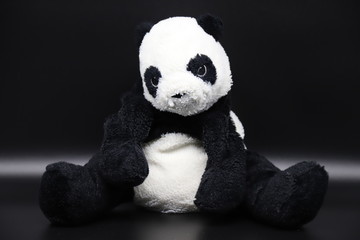 Kuscheltier Panda Bär © Philipp