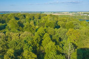 widok z góry lot ptaka park panorama miasta zieleń lato pola budynki domy © Krzysztof