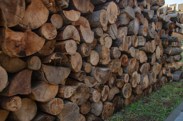 wood processing outdoors