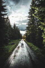 Summer rainy road through forest on Sumava, Czech republic