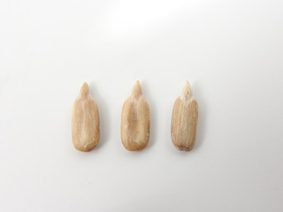 Top view of three natural shelled organic sunflower seeds arranged isolated on white background. It often eaten as a snack.  The seeds contain vitamin E. Food and snack concept. With copy space.