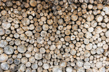 Wall made of the old dry wood