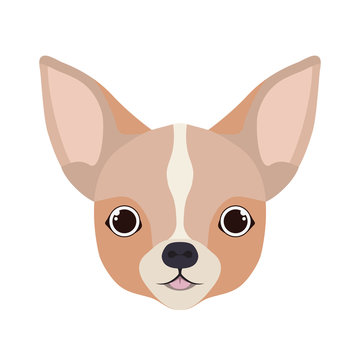 8 476 Best Chihuahua Vector Images Stock Photos Vectors Adobe Stock