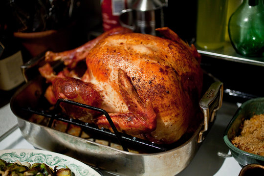 Close up of turkey in roasting pan