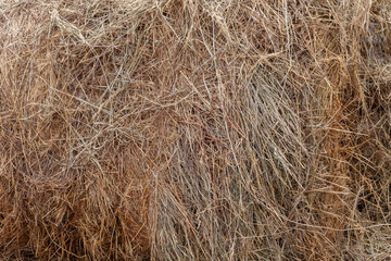 Background and texture of yellow woven hay of dried grass for agricultural use.