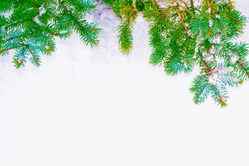  Frozen winter forest with snow covered trees.