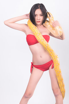 Snake, woman isolated. Asian woman in bikini holding yellow python. Sexy pose. Strange woman fashion concept.