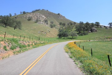 Naklejka premium Rural California