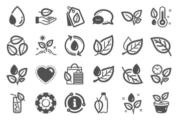 Plants icons. Mint leaf, Growing plants and Humidity thermometer icons. Bottle with mint water, Nature care, leaf on hand. Gardening new flower, environment, water drop and thermometer. Vector