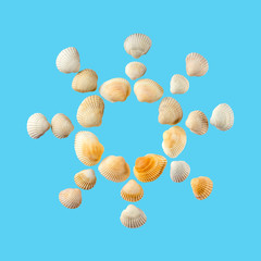 The sun from sea shells isolated on gentle blue background