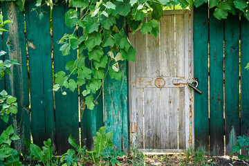 Old wooden door in greenery with sun beams, sun break and shadows. Green wooden fence
