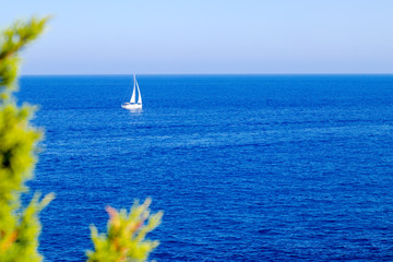 View on the Mediterranean Sea with blurred flowers the front and a sailboat in the water