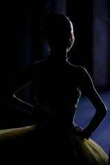 Dancer in the wings