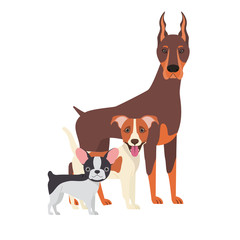 set of adorable dogs on white background