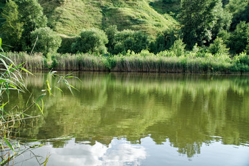 Fototapeta na wymiar Reeds and clouds reflect in pond, romantic mood fresh breath