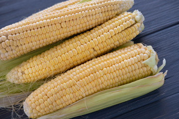 Dark background with fresh heads of corn and a place for inscription. Harvest of fresh corn in the vegetable garden, farm. Flat lay, top view.