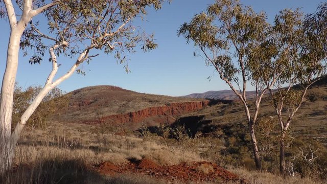 Panoramic view of landscape of outback Australia in the Pilbara, Western Australia, with white gum trees, mountains, bushland, sunny blue sky as background.