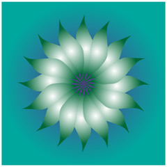 abstract flower on a white background