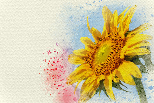 Sunflower in blue sky background. Digital watercolor painting effect. Copy space for text.