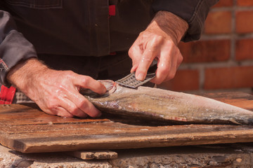 Northern fisherman cuts red salmon fish. Fishing for the production of red caviar. Antique tool for cleaning fish scales. male hands close-up.