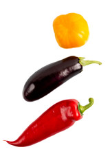 vegetables tomato pepper eggplant on a white background