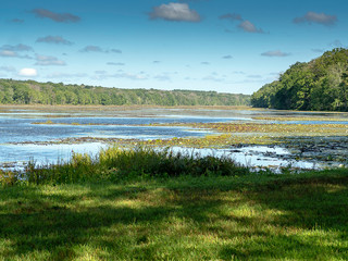 landscape with lake and blue sky