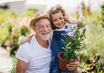 Portrait of small girl with senior grandfather in the backyard garden, standing. - Powered by Adobe