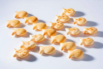 dried citrus fruits isolated on white background