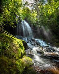 Fototapeta premium Marzycielski wodospad w zachodniej Karolinie Północnej