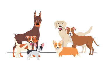set of adorable dogs on white background