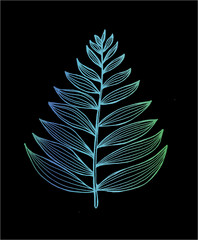 Obrazy na Szkle  Kolorowy obraz liścia fraktali. Gałąź paproci
