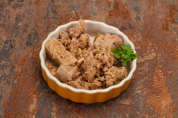 Canned tuna fish in the bowl