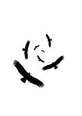 Vögel fliegen kreisen Vogel am Himmel Silhouette Vektor Grafik