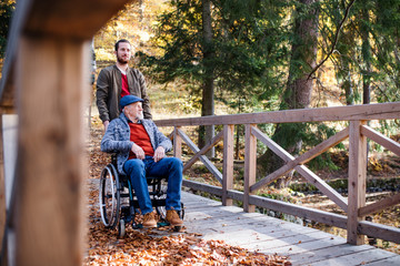 Senior father with wheelchair and his son on walk in nature.