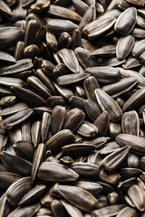 Seeds in a black shell as a background and texture, high detail. In full screen.