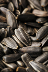 Seeds in a black shell are a bunch on a white background. In full screen.