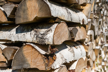 The texture of large birch firewood in bright sunlight.