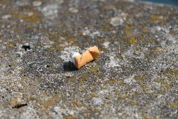 Background with dead cigarette butt on the pavement, closeup and copy space