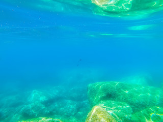 Underwater view of Alghero blue sea