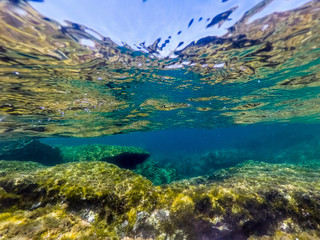 Underwater view of a rocky sea bed in Sardinia