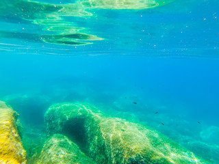 Colorful seabed in Alghero coast