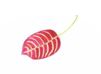 Drawing with watercolors: Red leaf of a pear tree.