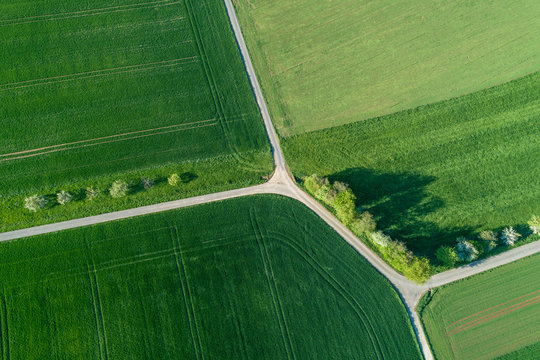 Aerial view of treelined road with intersection through agricultural fields, Franconia, Bavaria, Germany